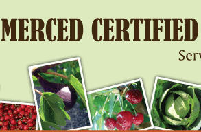The Original Merced Certified Farmers' Market
